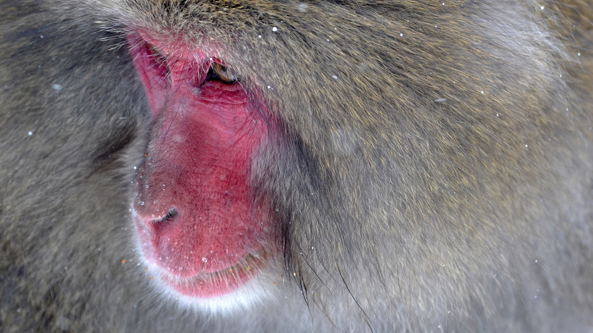 Authentication